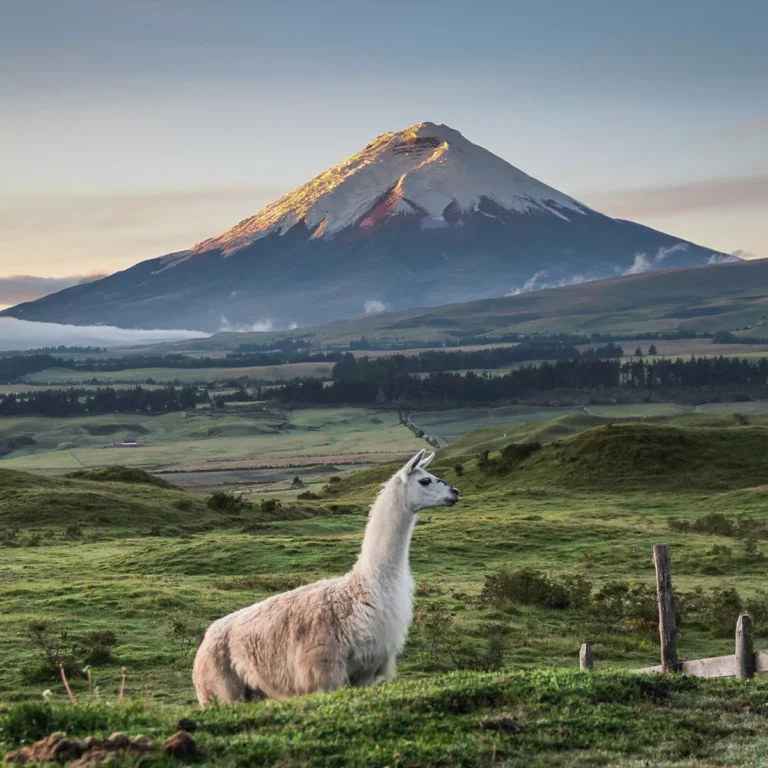 Ecuador, Cotopaxi