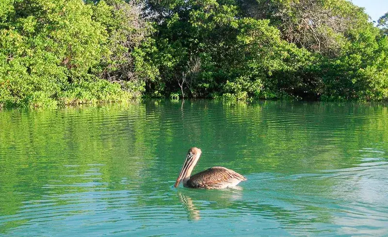 Black Turtle Cove, Santa Cruz Island