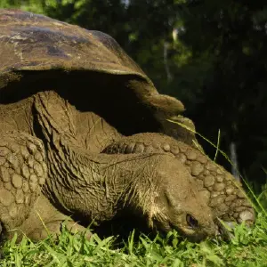 Galaxy orion itinerary 08