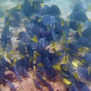 Galaxy orion itinerary 10