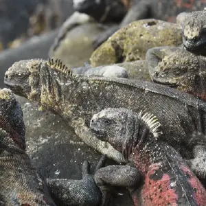 Galaxy orion itinerary 13