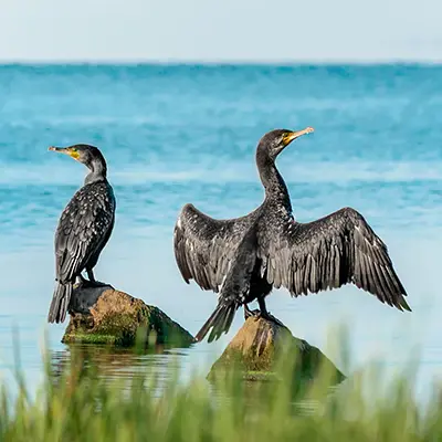 M/Y Grand Queen Beatriz itinerary