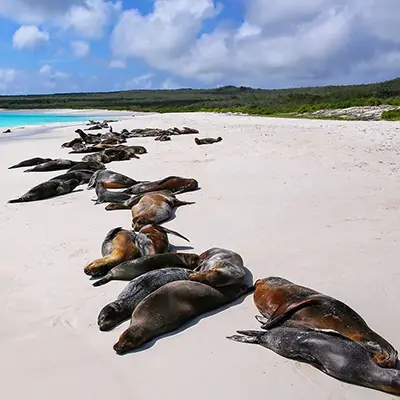 M/Y Grand Queen Beatriz itinerary