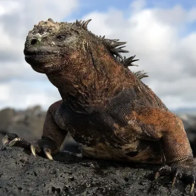 M/Y Grand Queen Beatriz itinerary