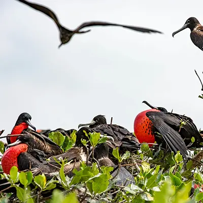 M/Y Grand Queen Beatriz itinerary