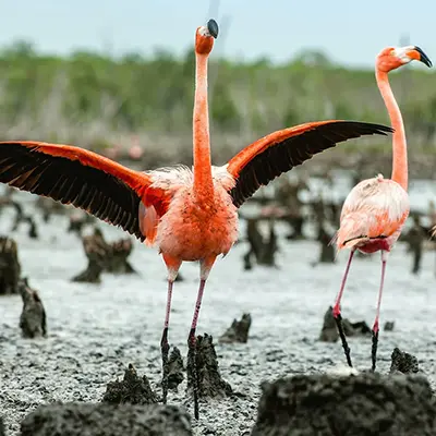 M/Y Grand Queen Beatriz itinerary