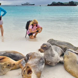 Tourist Superior Boats