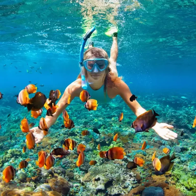 Ecuador snorkeling and diving tours