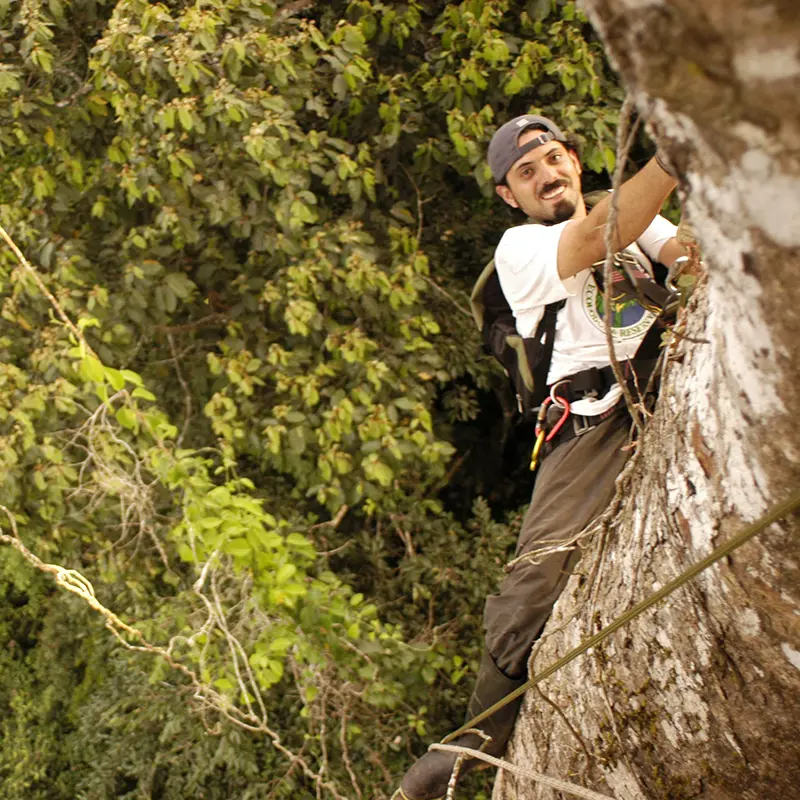 Santiago molina.webp